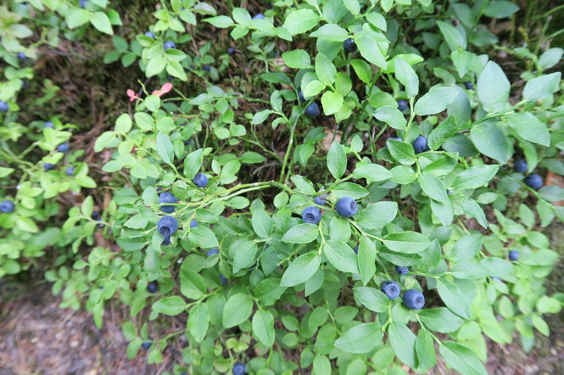 Okolo �eska 6 &nbsp; 4. �ervence 2016 12:13:14 &nbsp; &nbsp; C160704_121314_976 