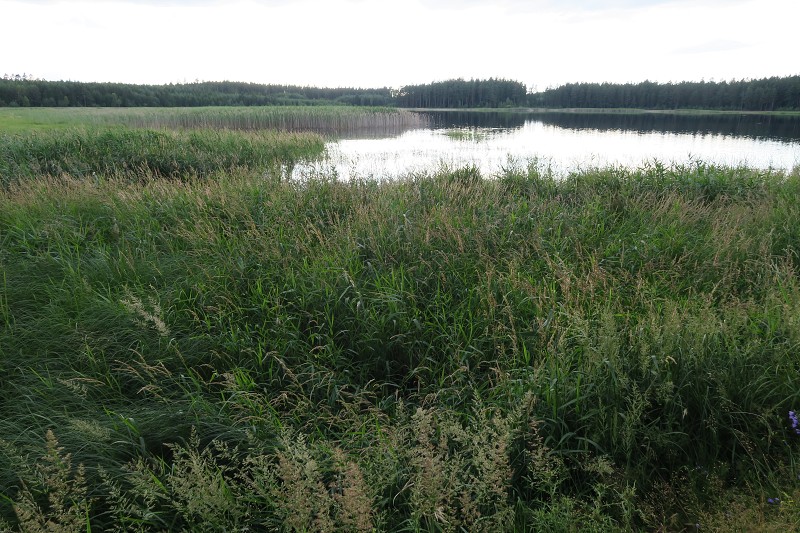 Okolo �eska 6 &nbsp; 4. �ervence 2016 18:56:19 &nbsp; &nbsp; C160704_185618_987 