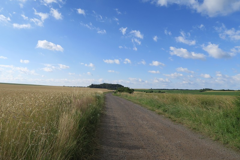 Okolo �eska 6 &nbsp; 6. �ervence 2016 8:32:56 &nbsp; &nbsp; C160706_083256_029 