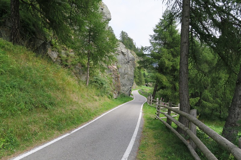 Via Claudia Augusta   2. srpna 2016 10:36:56   C160802_103656_053 