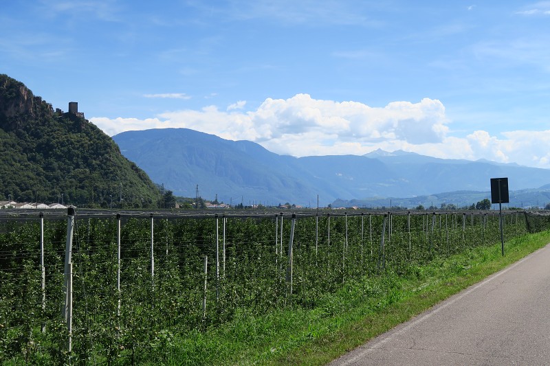 Via Claudia Augusta   3. srpna 2016 13:49:46   C160803_134946_147 