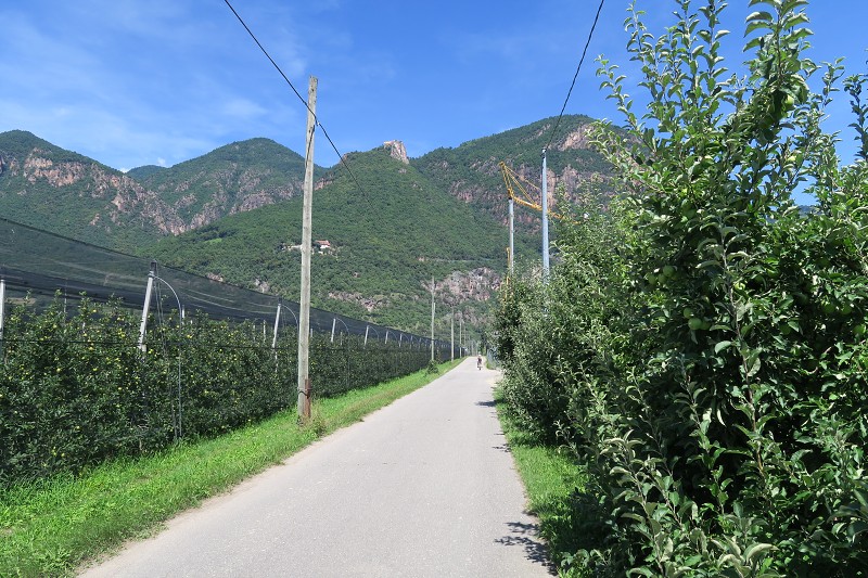 Via Claudia Augusta   3. srpna 2016 14:19:54   C160803_141954_148 