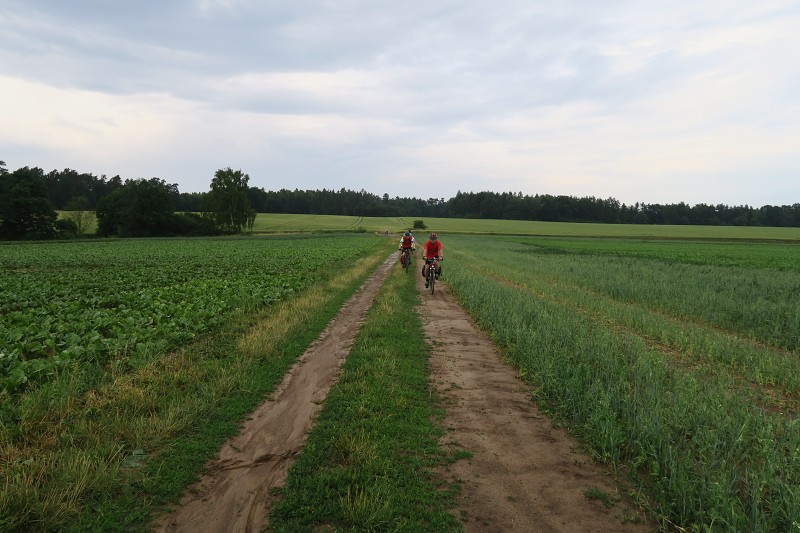 �esk� St�edoho�� &nbsp; 10. �ervna 2018 17:30:41 &nbsp; &nbsp; C180610_173040_146 
