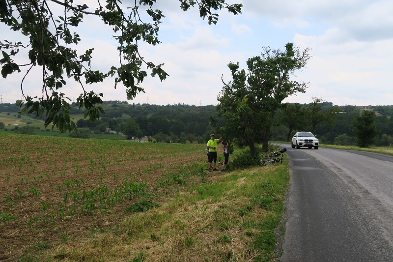 Brdy s Alenou 8   22. ervna 2019 12:02:21     C190622_120220_086 