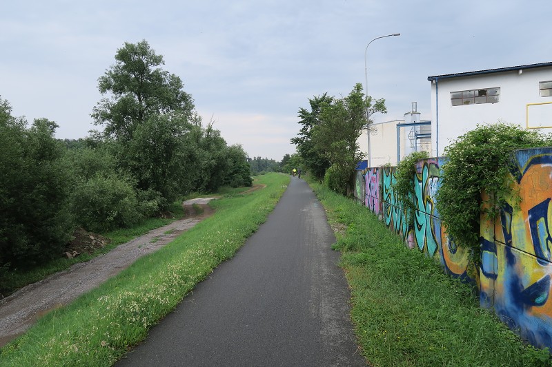 Brdy s Alenou 8   22. ervna 2019 16:19:33     C190622_161932_107 