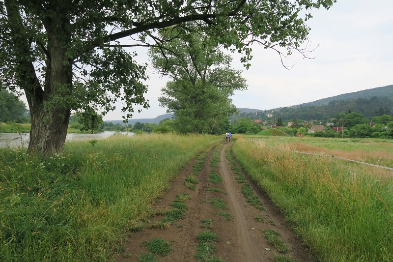 Brdy s Alenou 8   22. ervna 2019 17:15:29     C190622_171528_112 