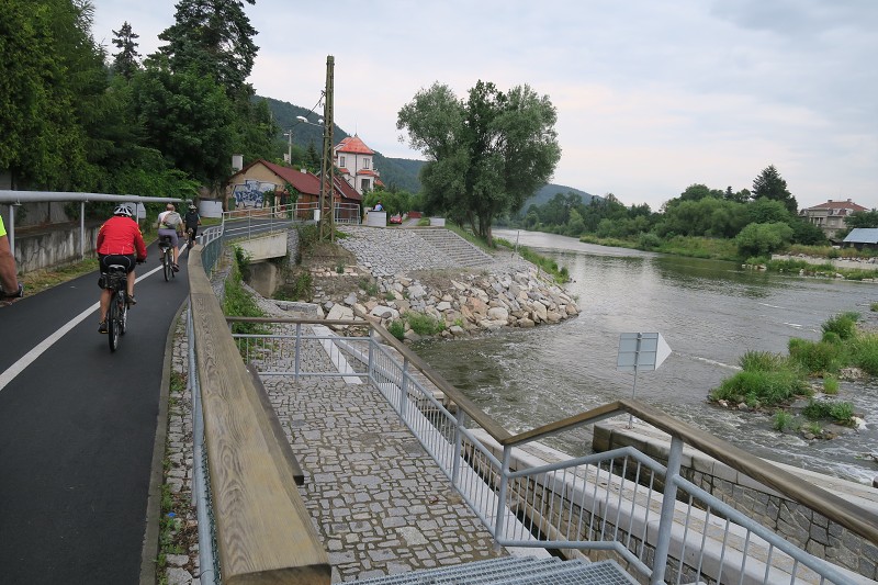 Brdy s Alenou 8   22. ervna 2019 17:37:05     C190622_173704_114 