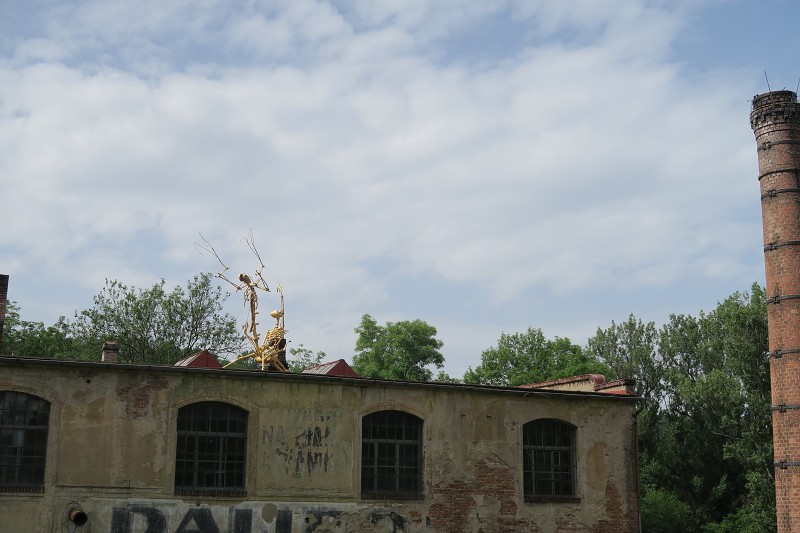 Pol�fka &nbsp; 15. �ervna 2019 9:53:11 &nbsp; &nbsp; C190615_095310_030 