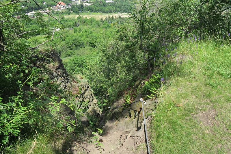 Pol�fka &nbsp; 15. �ervna 2019 14:02:03 &nbsp; &nbsp; C190615_140202_049 