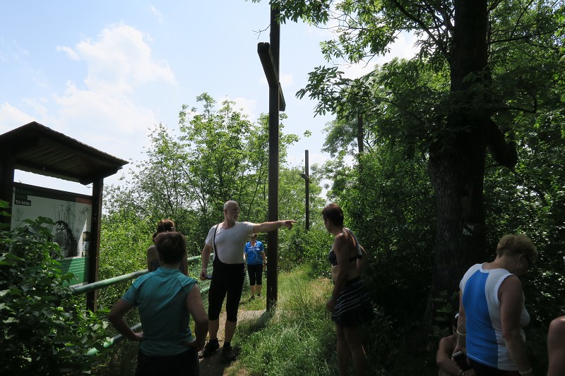 Pol�fka &nbsp; 15. �ervna 2019 14:06:49 &nbsp; &nbsp; C190615_140648_052 