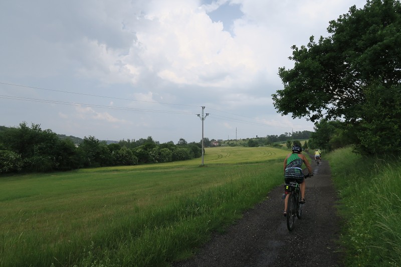 Pol�fka &nbsp; 15. �ervna 2019 16:06:29 &nbsp; &nbsp; C190615_160628_058 