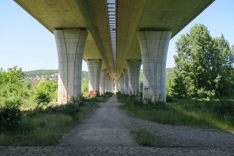 Pra�sk� parky 23  &nbsp; 3. �ervna 2023 13:21:27 &nbsp; &nbsp; C230603_132126_052 