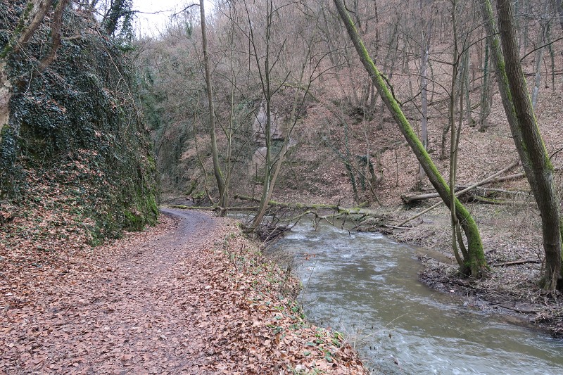 V�enory &nbsp; 30. prosince 2023 13:53:07 &nbsp; &nbsp; C231230_135306_118 