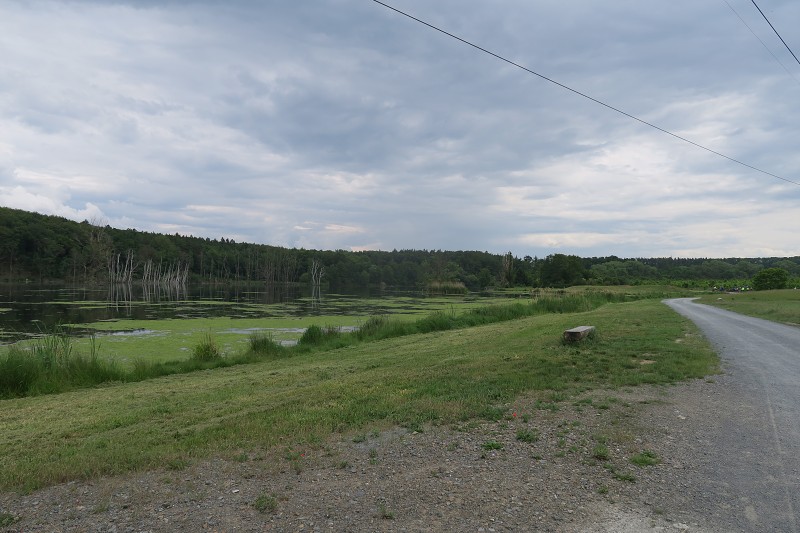 Anthropoid   27. kvtna 2024 15:33:55     C240527_153354_290 