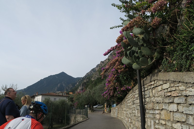 Lago di Garda &nbsp; 22. z��� 2024 10:08:11 &nbsp; &nbsp; C240922_100810_234 