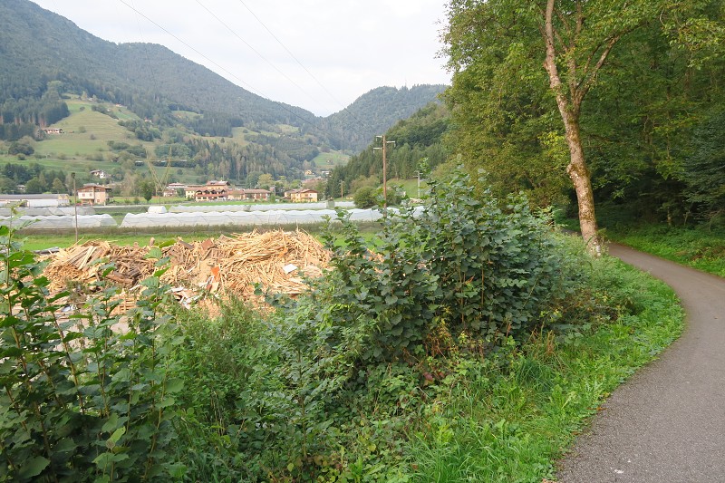 Lago di Garda &nbsp; 22. z��� 2024 19:01:17 &nbsp; &nbsp; C240922_190116_322 