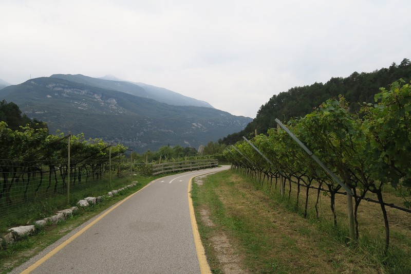 Lago di Garda   23. z 2024 15:04:58     C240923_150458_390 