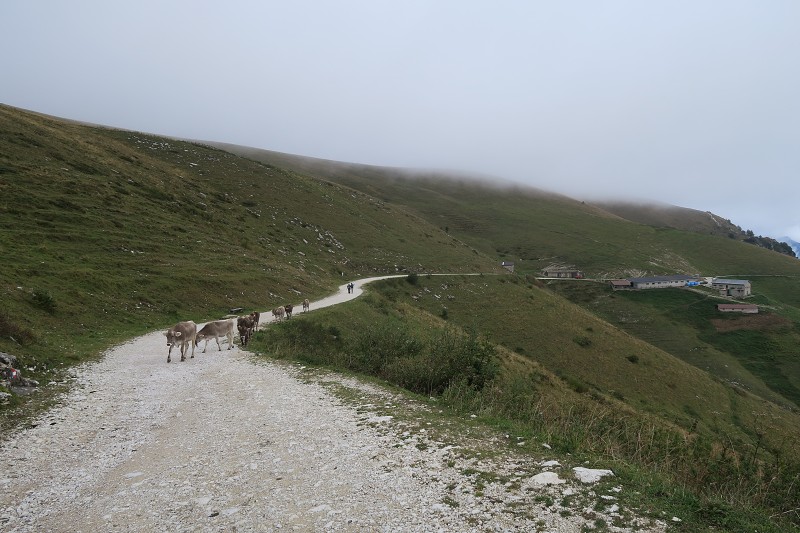 Lago di Garda &nbsp; 24. z��� 2024 10:38:28 &nbsp; &nbsp; C240924_103828_442 