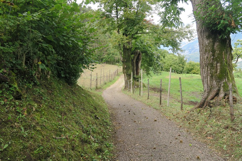 Lago di Garda &nbsp; 24. z��� 2024 12:58:05 &nbsp; &nbsp; C240924_125804_474 