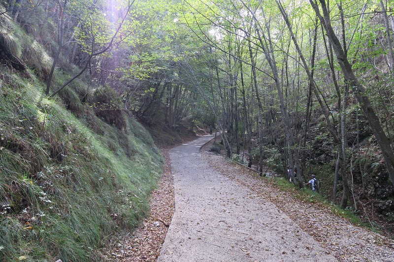 Lago di Garda &nbsp; 25. z��� 2024 12:57:47 &nbsp; &nbsp; C240925_125746_574 