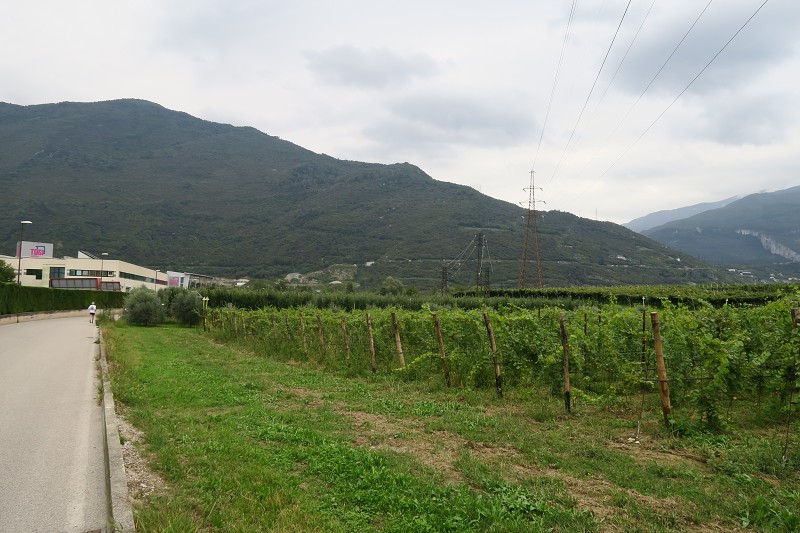 Lago di Garda &nbsp; 26. z��� 2024 11:06:07 &nbsp; &nbsp; C240926_110606_625 