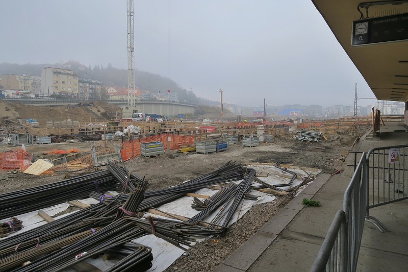 Svatomartinsk husa   9. listopadu 2024 9:18:57     C241109_091856_150 