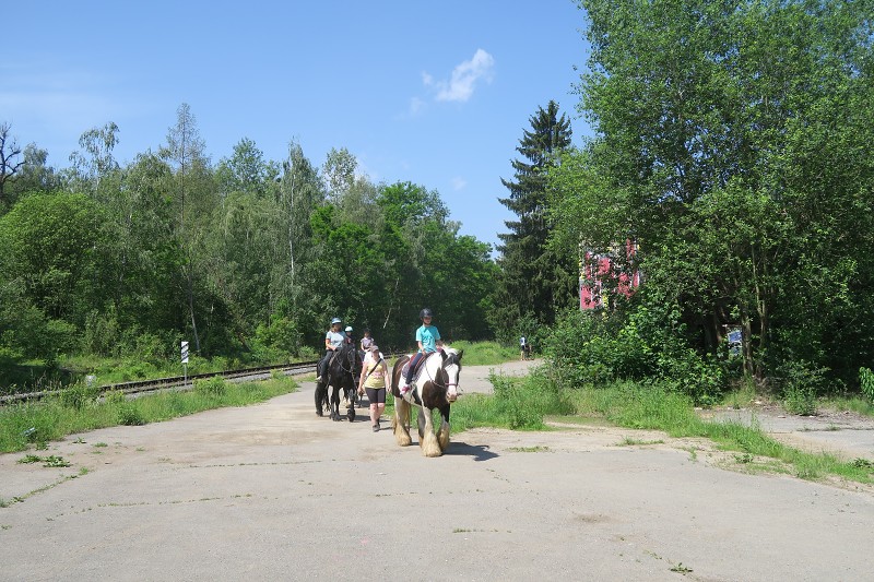 Karltejn   9. ervna 2024 11:49:09     C240609_114908_117 