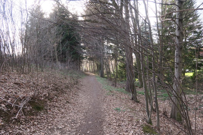 Kouim   25. bezna 2024 16:49:57     C240325_164956_044 