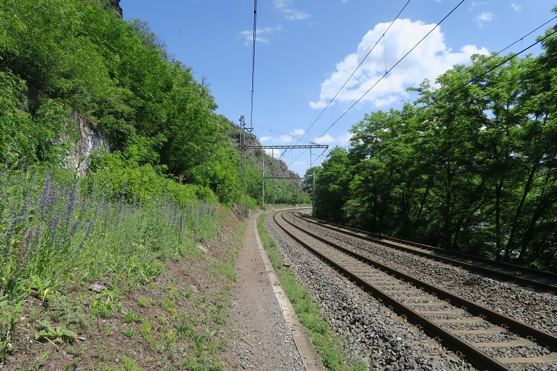 Kristus   8. ervna 2024 12:39:23     C240608_123922_060 