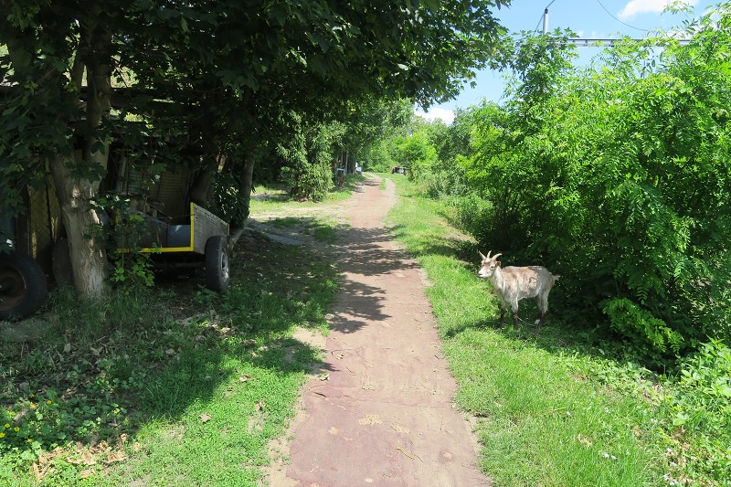 Kristus   8. ervna 2024 12:43:46     C240608_124346_062 