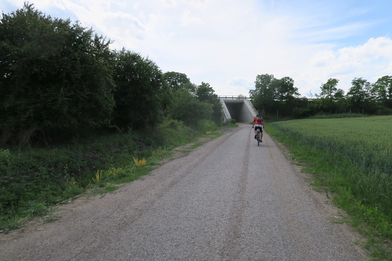 Kristus   8. ervna 2024 15:35:13     C240608_153512_078 
