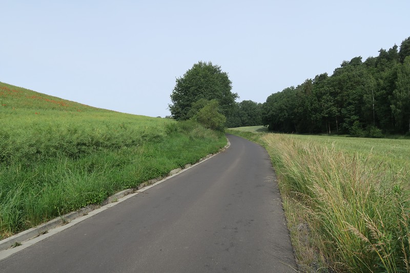 Piastovsk hrady   14. ervna 2024 9:28:38     C240614_092838_168 