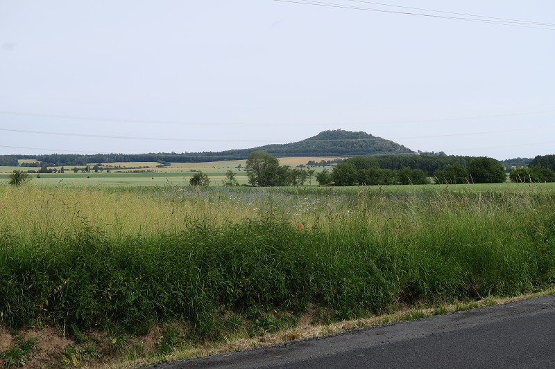 Piastovsk hrady   14. ervna 2024 10:37:10     C240614_103710_175 