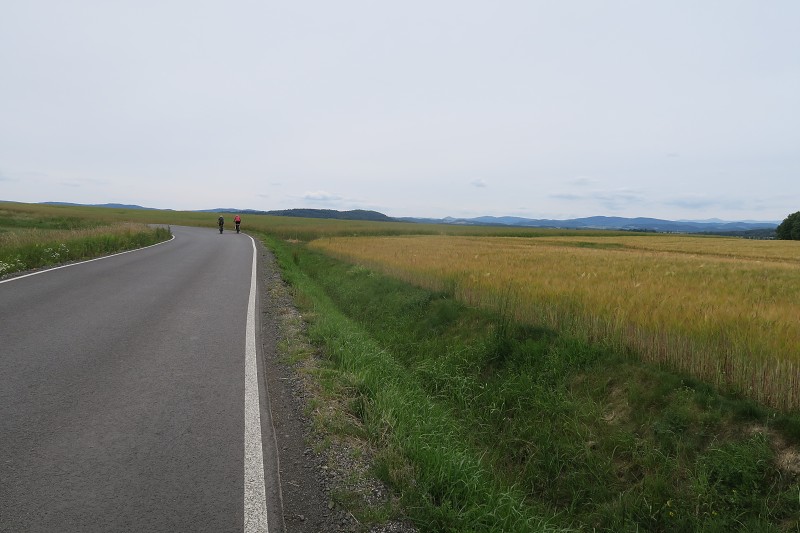 Piastovsk hrady   14. ervna 2024 11:47:56     C240614_114756_188 