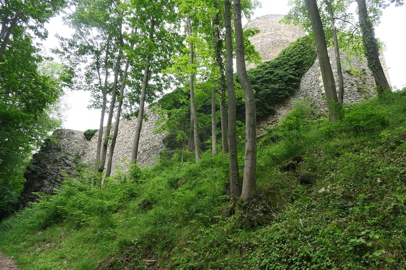 Piastovsk hrady   14. ervna 2024 14:50:20     C240614_145020_203 