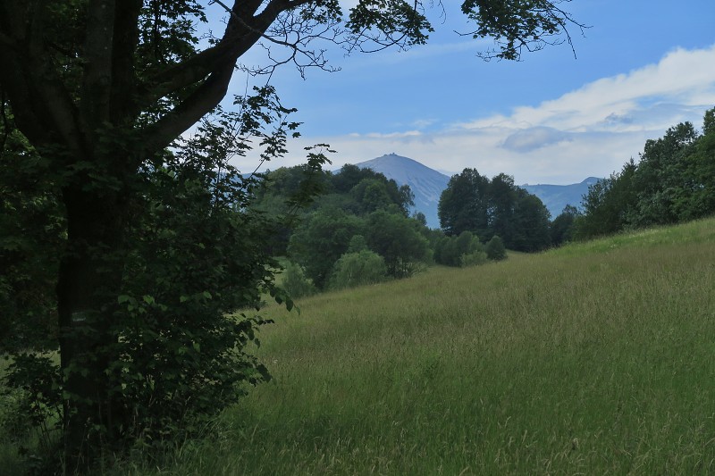 Piastovsk hrady   15. ervna 2024 10:48:10     C240615_104810_221 