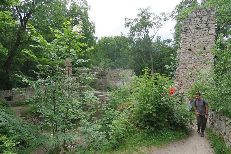 Piastovsk� hrady &nbsp; 16. �ervna 2024 12:43:28 &nbsp; &nbsp; C240616_124328_299 