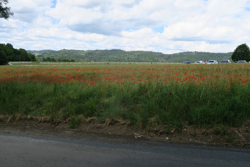 Piastovsk� hrady &nbsp; 16. �ervna 2024 13:51:19 &nbsp; &nbsp; C240616_135118_302 