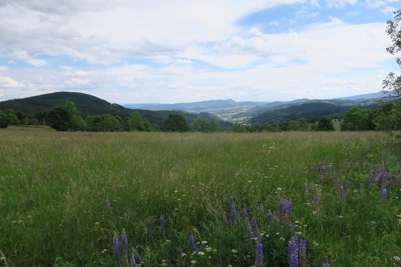 Piastovsk� hrady &nbsp; 16. �ervna 2024 15:45:56 &nbsp; &nbsp; C240616_154556_304 