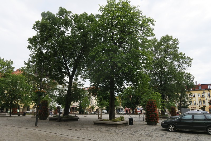 Piastovsk� hrady &nbsp; 17. �ervna 2024 10:07:48 &nbsp; &nbsp; C240617_100748_316 