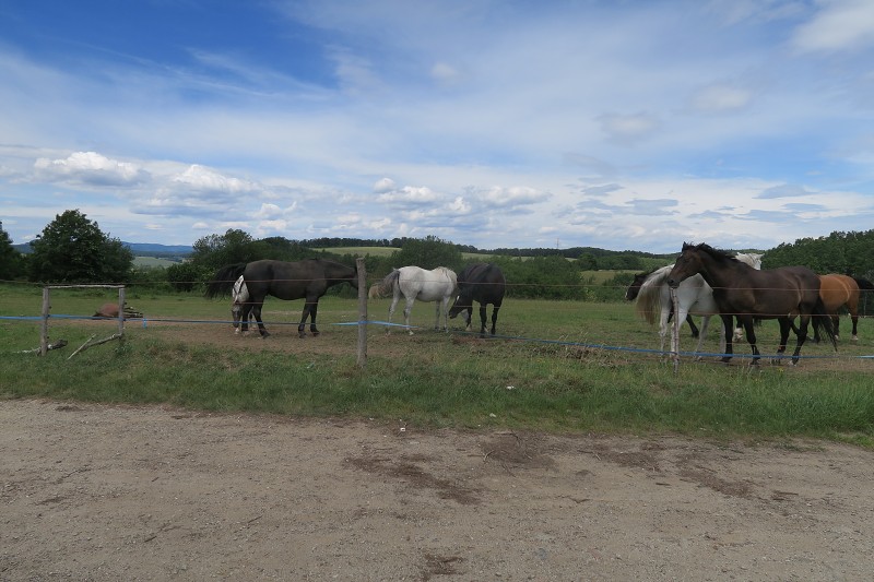 Piastovsk� hrady &nbsp; 17. �ervna 2024 12:02:24 &nbsp; &nbsp; C240617_120224_326 