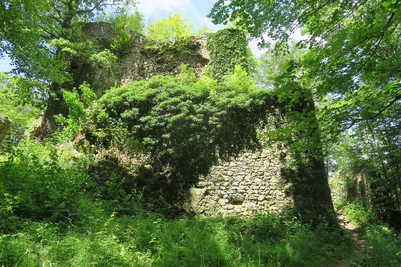 Piastovsk� hrady &nbsp; 17. �ervna 2024 12:18:26 &nbsp; &nbsp; C240617_121826_331 