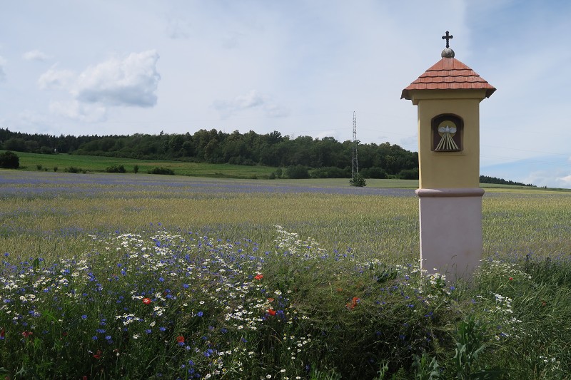 Piastovsk� hrady &nbsp; 18. �ervna 2024 14:12:41 &nbsp; &nbsp; C240618_141240_425 