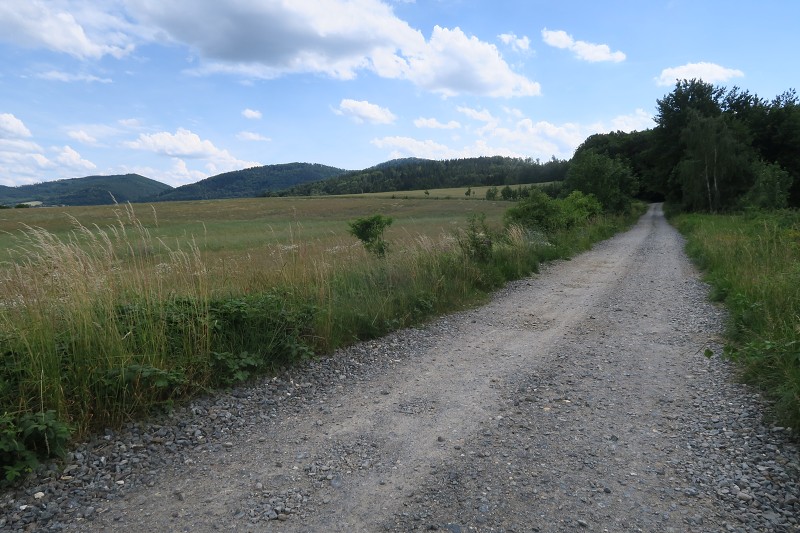Piastovsk� hrady &nbsp; 18. �ervna 2024 14:50:44 &nbsp; &nbsp; C240618_145044_427 