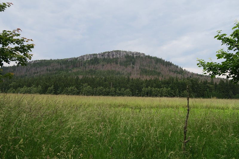 Piastovsk� hrady &nbsp; 19. �ervna 2024 12:51:06 &nbsp; &nbsp; C240619_125106_458 