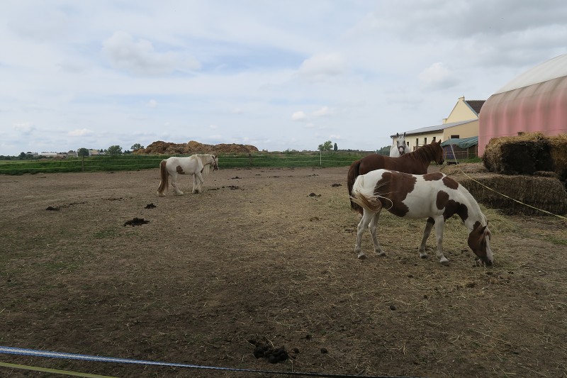 Piastovsk� hrady &nbsp; 20. �ervna 2024 10:45:42 &nbsp; &nbsp; C240620_104542_486 
