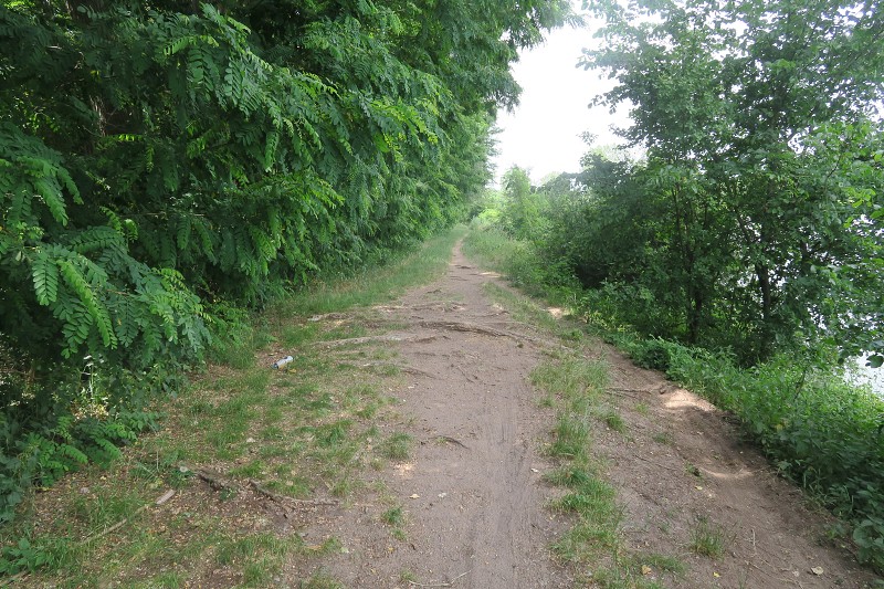 Piastovsk� hrady &nbsp; 20. �ervna 2024 14:20:54 &nbsp; &nbsp; C240620_142054_499 